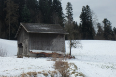 Tisenwaltsberg (unterhalb Kopfholz)