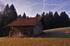 Riet, Vorderbettswil