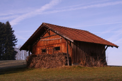 Riet, Vorderbettswil