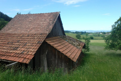 Hinter-Bettswil, Schürli / Oobis