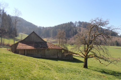 Hinter-Bettswil, Schürli / Oobis