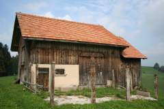 Luegete