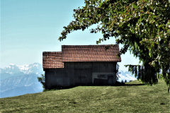 Luegete