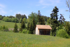Chli Bäretswil, Rtg Lee