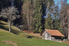Wissenbach