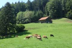 Wissenbach