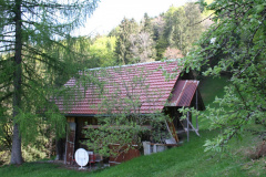 Hinterburg, Hofböölweid
