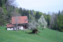 Vorder Dunkelwies