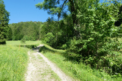 Weg zur Täuferhöhle