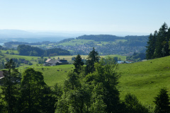 Chappelen, Blick gen Adetswil