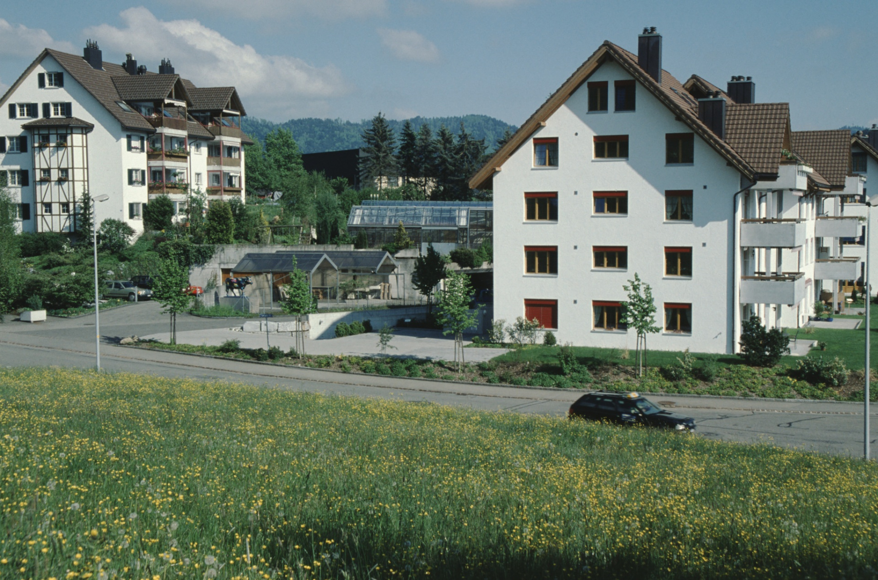 Areal Lüthi, Alpenblick, Wohnhäuser