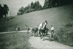 Materialtransport zum Rosinli