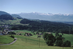 Blick von unterhalb des Rosinli, Ausflugsrestaurant, ca 30 min vom Bahnhof, lk Häuser von Adetswil