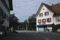 Bären und Linde