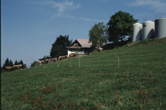 Restaurant Sonnenhof