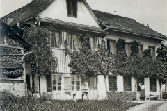Glaswaren Knecht, Haus Hinterseite, Zelglistrasse Glaswaren Knecht, Haus Hinterseite, Zelglistrasse
