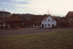 Zelgli, Haus Strimer