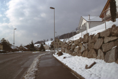 Adetswilerstr mit Neubauten