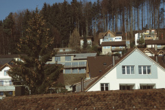 Lettenbergquartier (Grundstr, Lettenbergstr, Promnadenweg) Lettenbergquartier (Grundstr, Lettenbergstr, Promnadenweg)