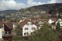 Blick aus einem Fenster Neue Bettswilerstr 1 Blick aus einem Fenster Neue Bettswilerstr 1
