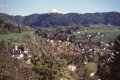 Blick von der Engelsteinstr (neben Haus Dietschi, Glärnischstr.23) auf das Dorf Rtg Wappenswil