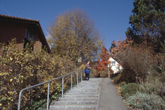 Treppenweg von der Grundstr. zur Kehrstr. Treppenweg von der Grundstr. zur Kehrstr.