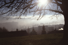 von Haus Dietschi Blick Rtg Adetswil von Haus Dietschi Blick Rtg Adetswil