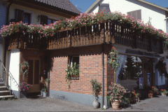 Haus Trachsler Blumenwettbewerb