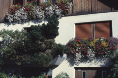Haus H. & M. Sturzenegger (Gärtnerei)