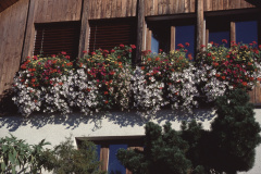 Haus Sturzenegger (Fensterablage gross)