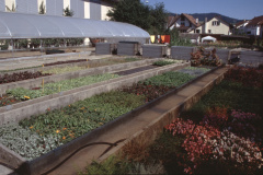 Gärtnerei Struzenegger, Gartenanlage
