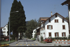 Baumastr.