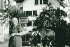 Go grase mit de Chue, Frau Schelldorfer