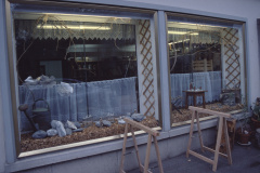 Schaufenster ,Vollwertige Wildchrüter Chuchi', Baumastr