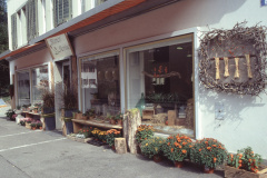 Blumen Denise aussen