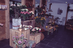 Baumastr. Blumen Denise innen