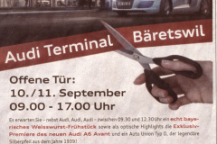 Audi im Terminal