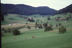 Blick von Steigstrasse Rtg. Bussenthal