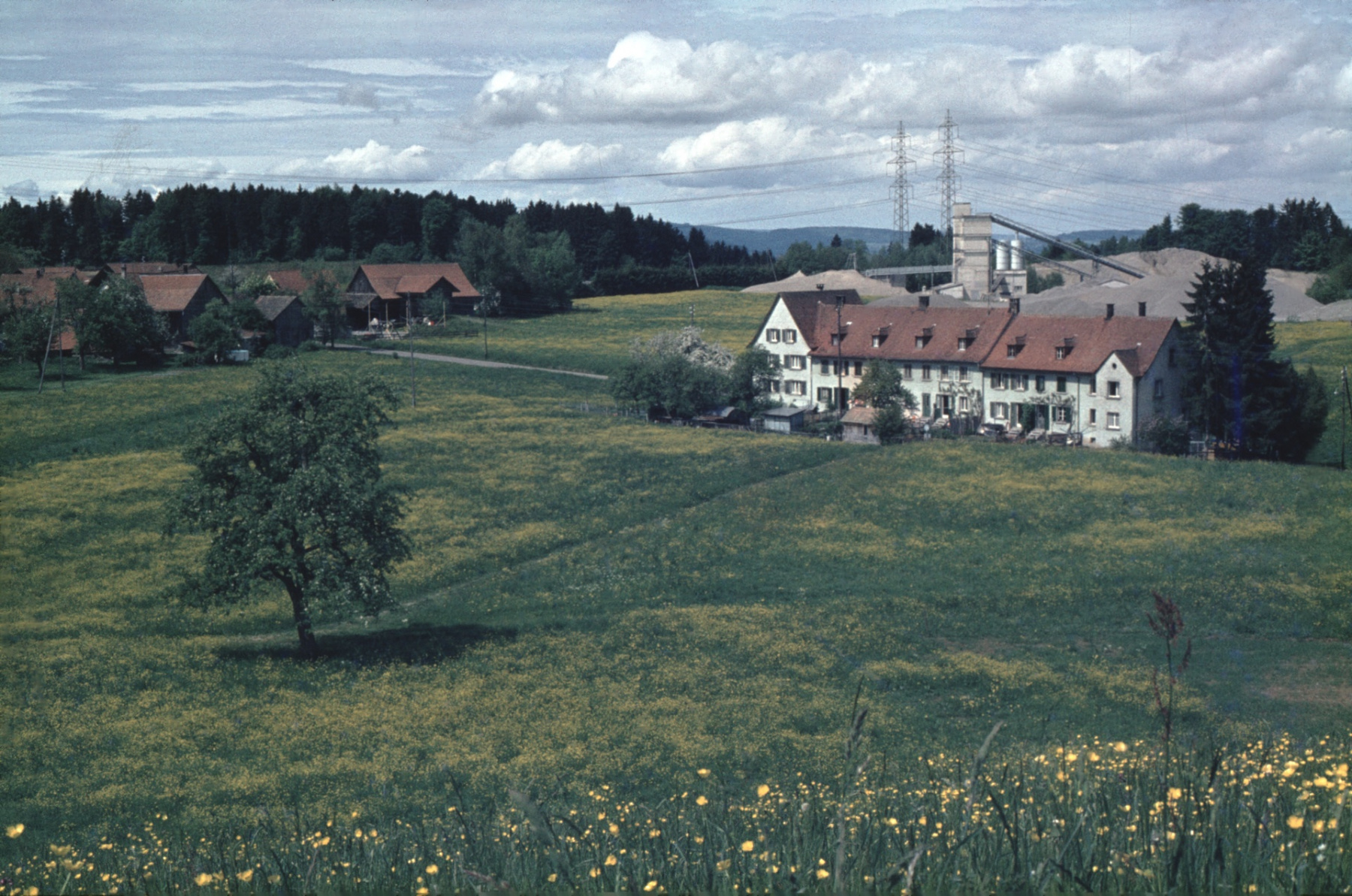 Schürli, Neueggheim