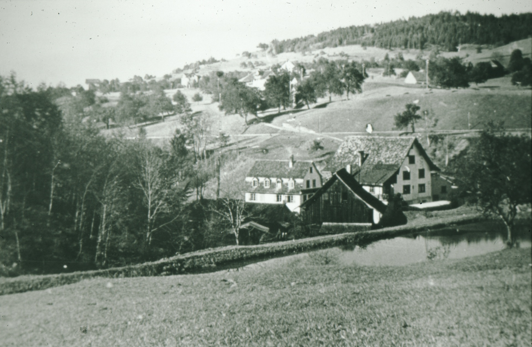 Mühle und Mühleweiher, imHG Adetswil und Rosinli