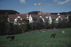 Überbauung Gupfareal