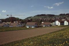 Quartier Lerchenfeld (Vogelloch)