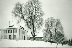 Ref. Pfarrhaus mit Kastanienbaum Ref. Pfarrhaus mit Kastanienbaum