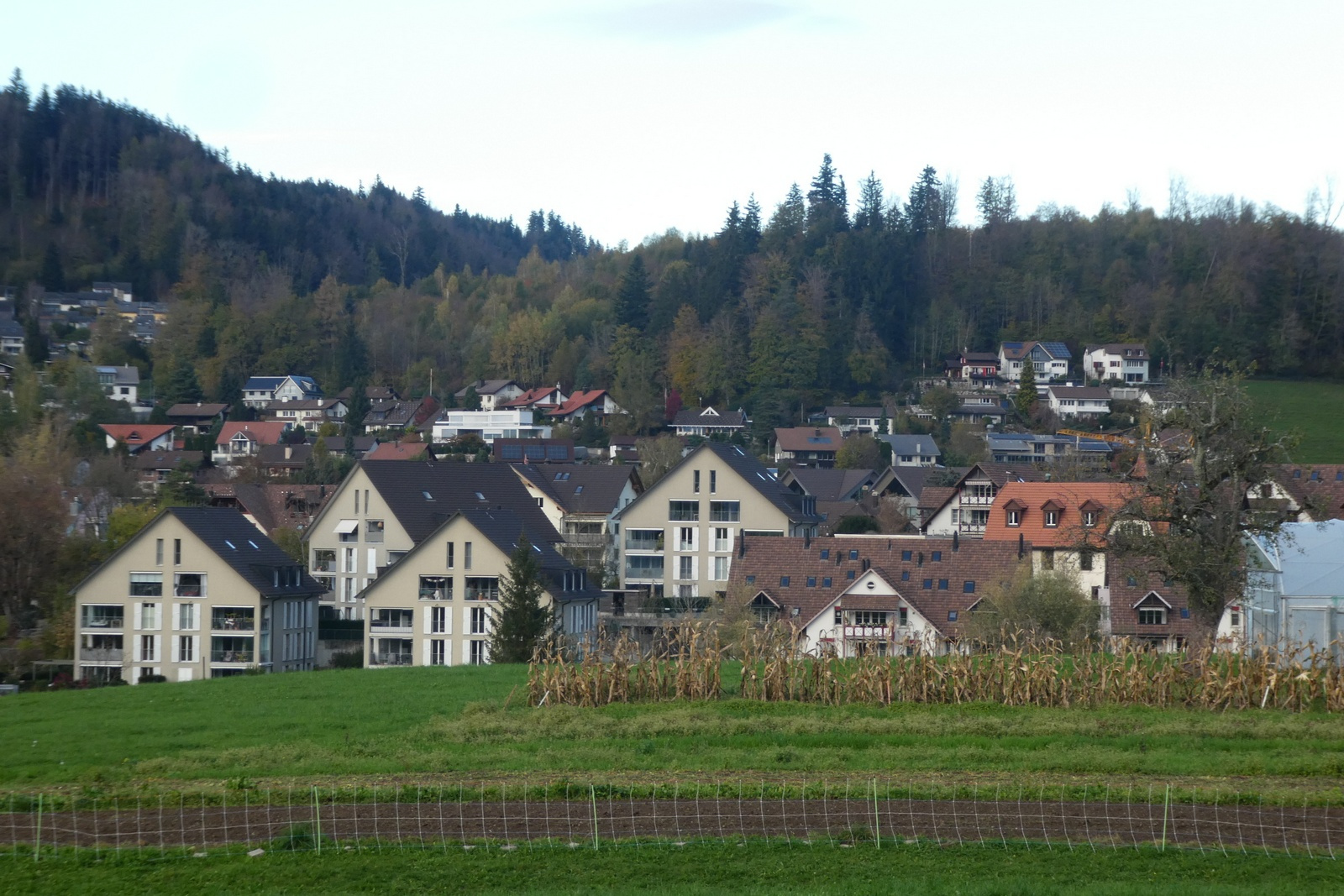Wetzikerstrasse, Blick auf Häuser «Am Aabach»