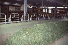 TdoT Hof Oberdorf, Stall