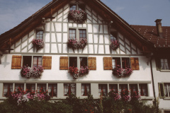 Schulstr, Meile Meile Widmer, Blumenwettbewerb Herbst 2004