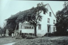 Haus Schreiner Wirth, Waswis