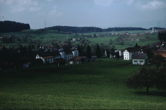 Spörriwiese
