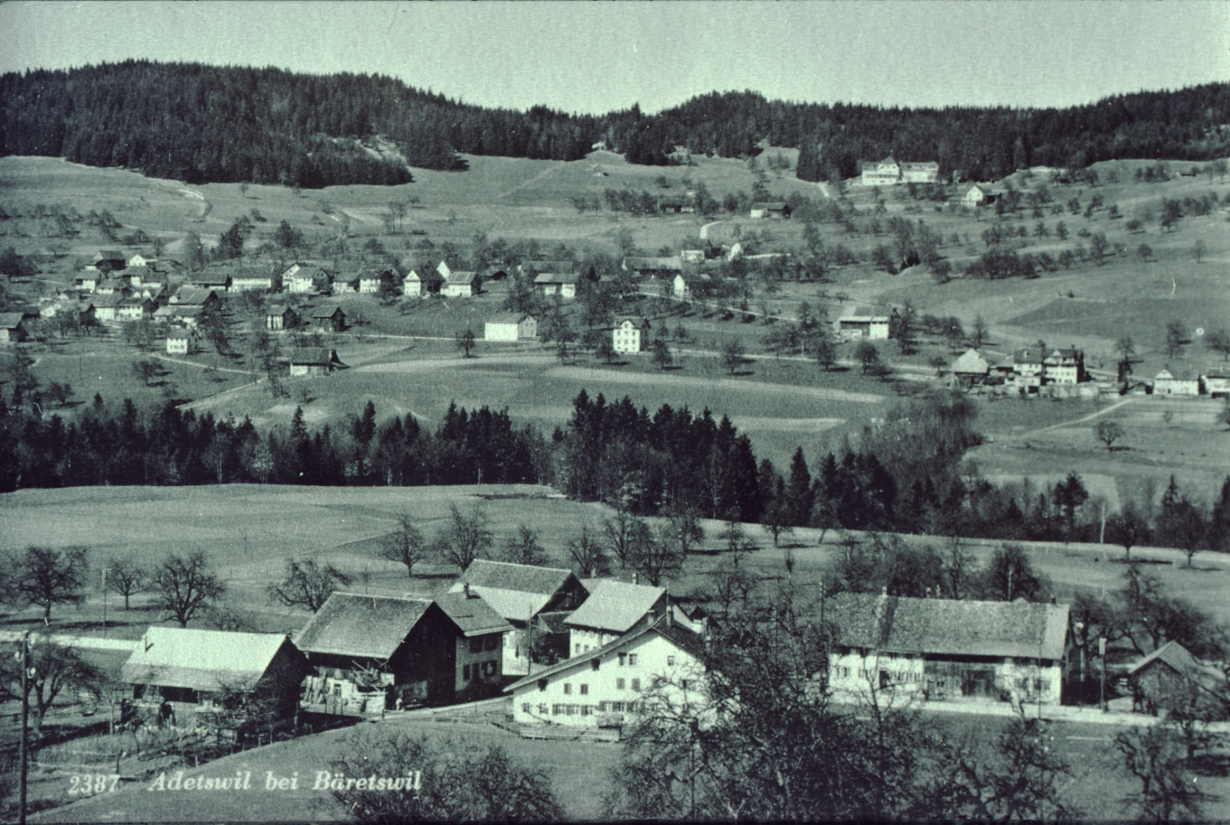 Schürli und Adetswil, Blick von der Steinweid