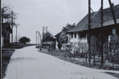 Schürli